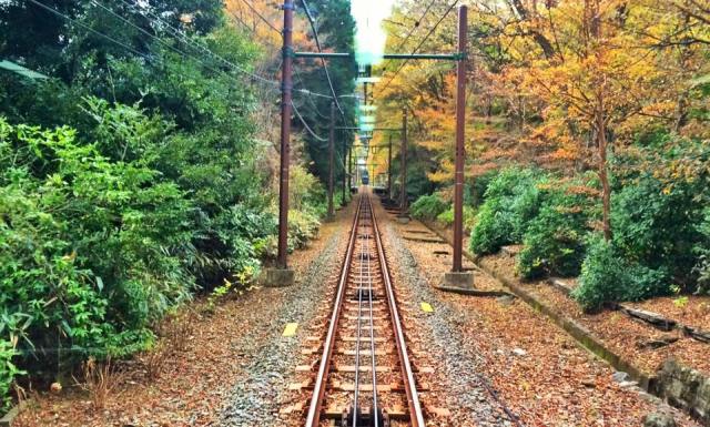 12321106_10201552183483885_7730299771165353287_n