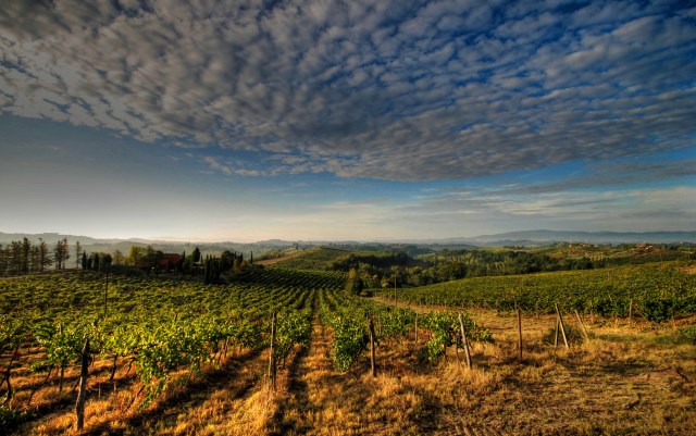 panorama_vicino_certaldo