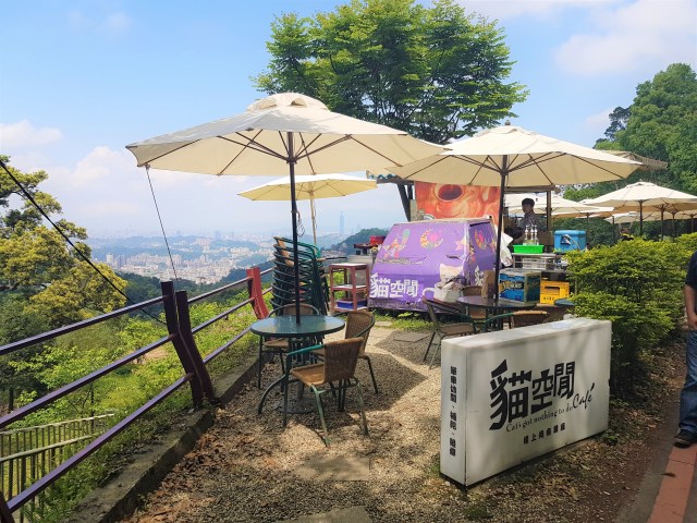 maokong cat got nothing to do